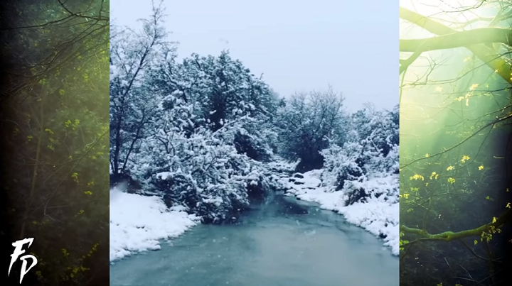 Pao sneg u Južnoj Africi (VIDEO)