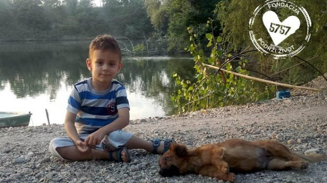 Dušan Todorović preminuo u bolnici u Barseloni Dušan Todorović preminuo u bolnici u Barseloni