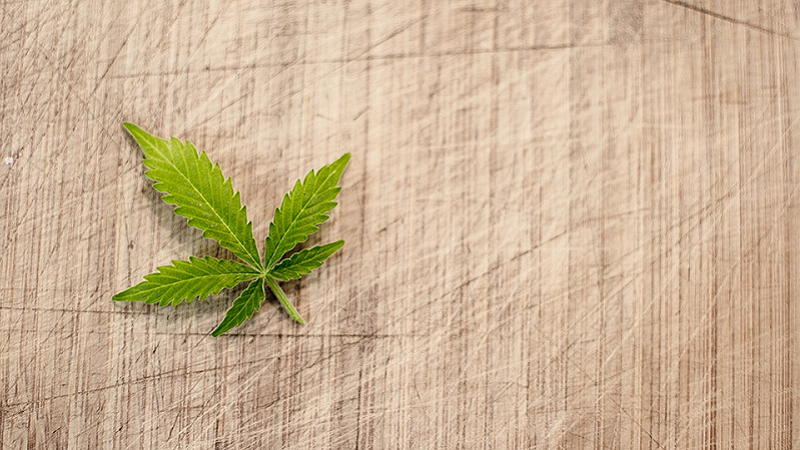 Održan četvrti Kanabis marš