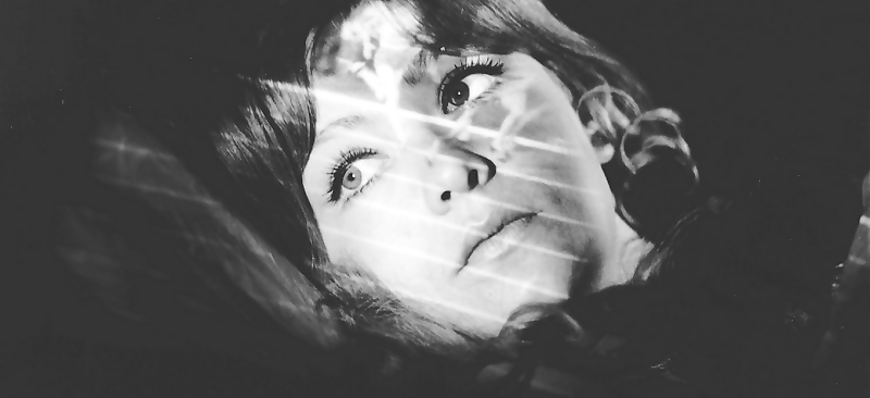 Zašto "Dan žalosti" samo za političara - vašku koja se isključivo hrani tuđom krvlju i tuđim znojem?