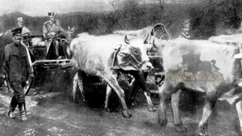 Milica Eseš Pinter: Sumnjam da bi Čika Pera, da je danas živ, dizao bilo kakav spomenik, pa i samom sebi, a da u istom tom momentu u bolnicama vraćaju kući decu, jer nemaju anestezije za operaciju.