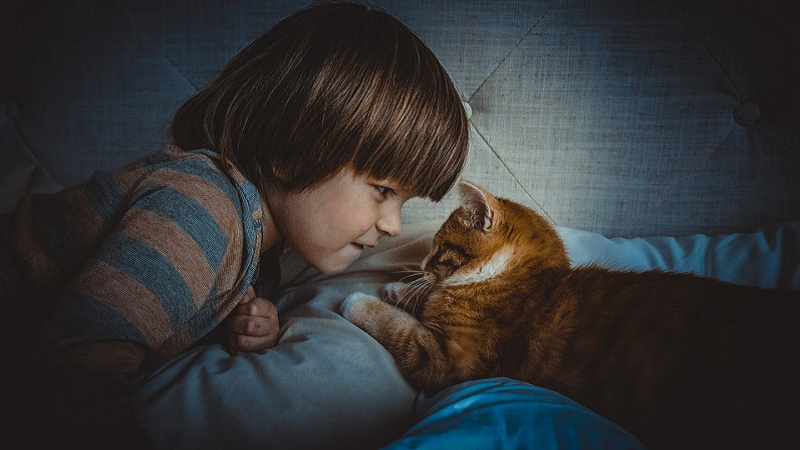 Kako nam mačke poručuju da ih nešto boli