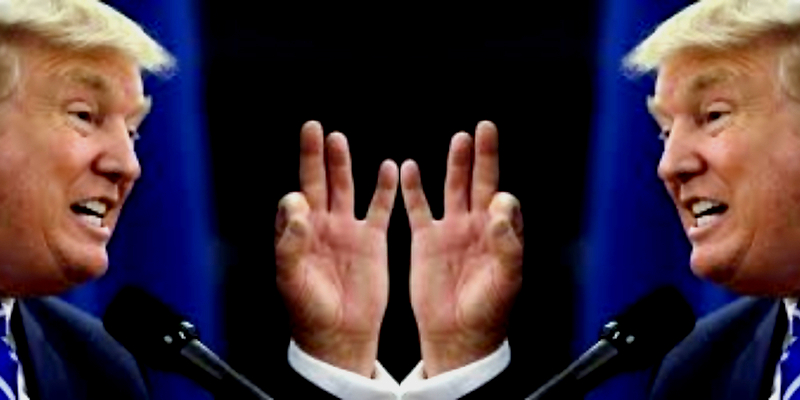 Tramp na Tviteru: Hvala ti, predsedniče Tramp