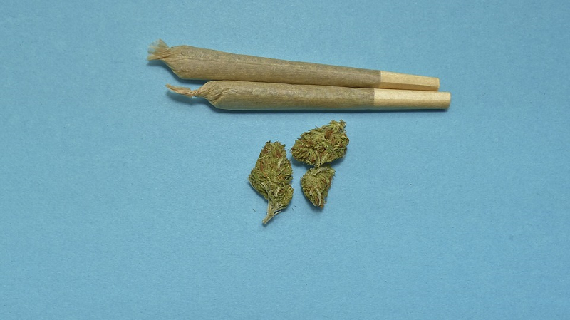 Koncert za legalizaciju kanabisa ispred Skupštine Srbije 4. maja