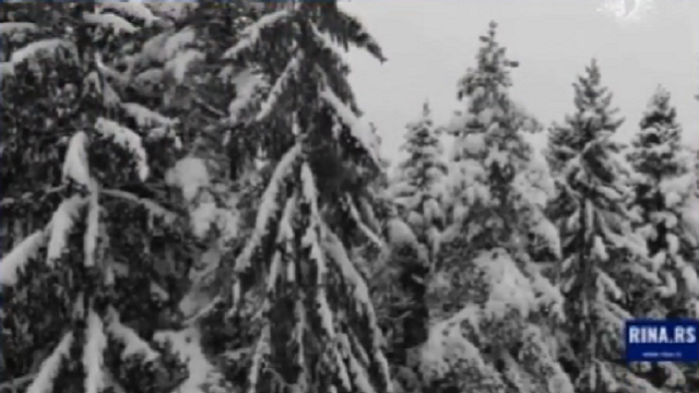 Haos širom Srbije, sneg pada 24h