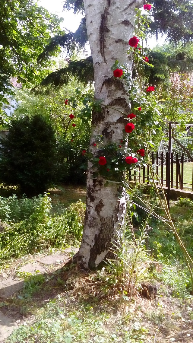 Danas stiže proleće, uskoro i pomeranje sata
