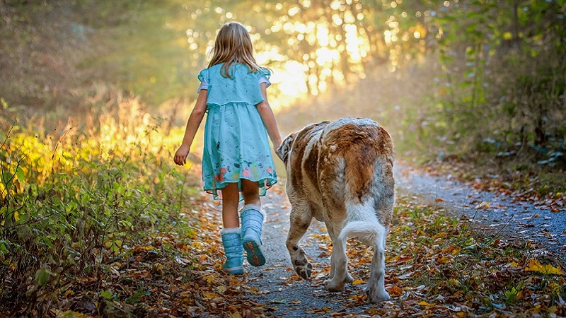 Dokazano: Psi nas razumeju