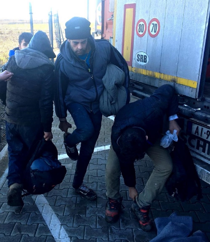 U Srbiju dnevno uđe do 100 migranata