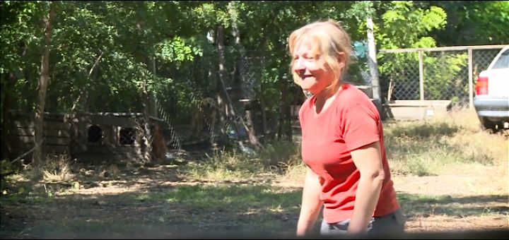 Više od stotinu životinja iz azila kod Novog Sada čeka udomljenje, nakon smrti čoveka koji se o njima brinuo